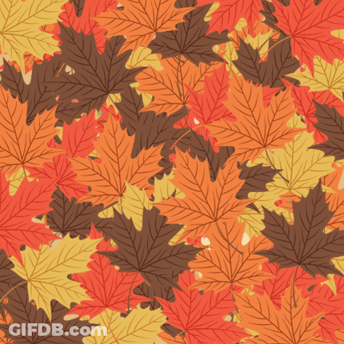 Autumn Leaves Pattern GIF