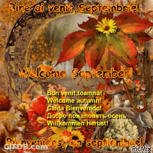Autumn Leaves Saying Welcome September GIF