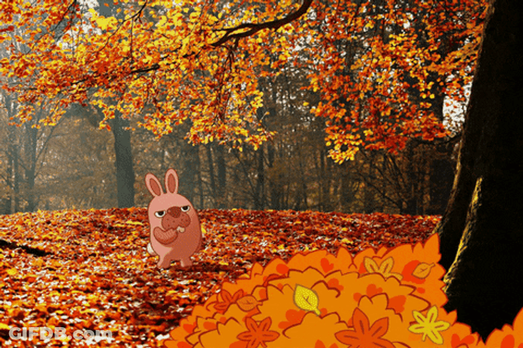Autumn LINE Pokopang GIF