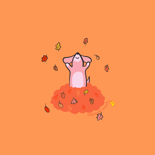Autumn Pink Dog Stefanie Shank GIF