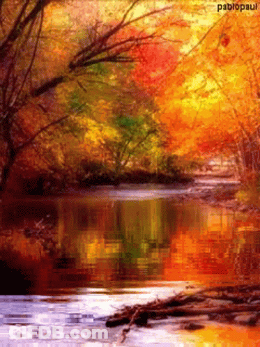 Autumn River Surrounded By Trees GIF