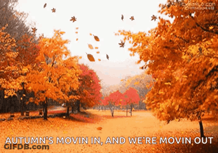 Autumn's Moving In Happy Fall Sunday GIF