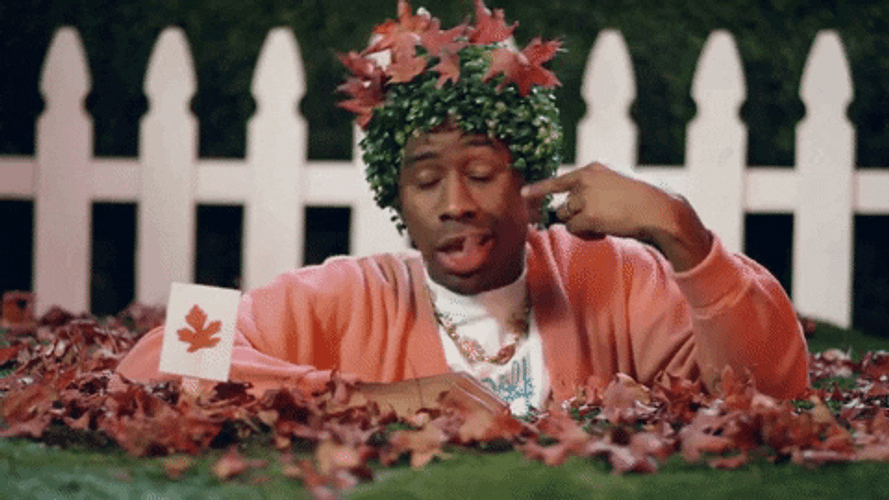 Autumn Tyler The Creator GIF