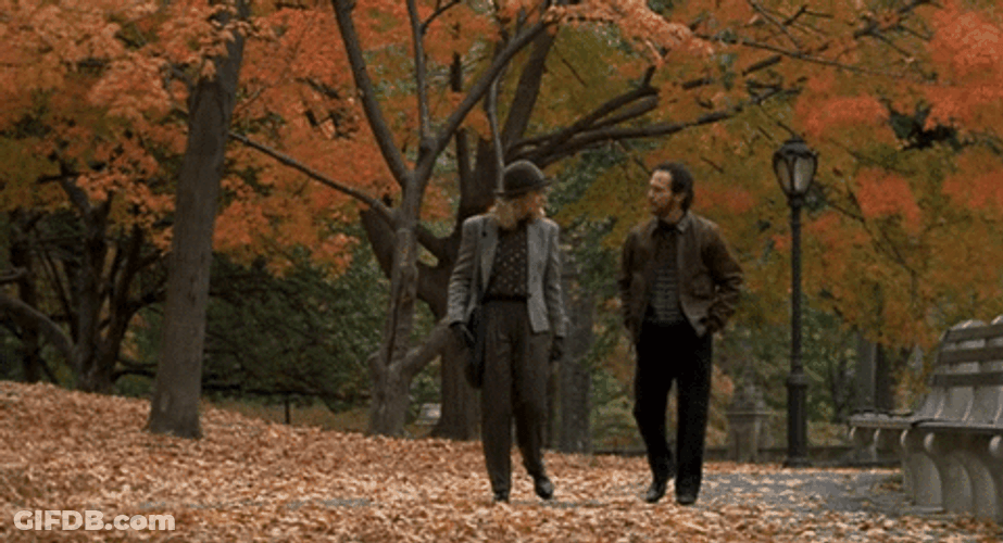 Autumn When Harry Met Sally Film GIF