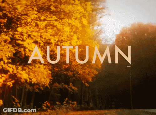 Autumn Word In Front Of Trees With Yellow Leaves GIF