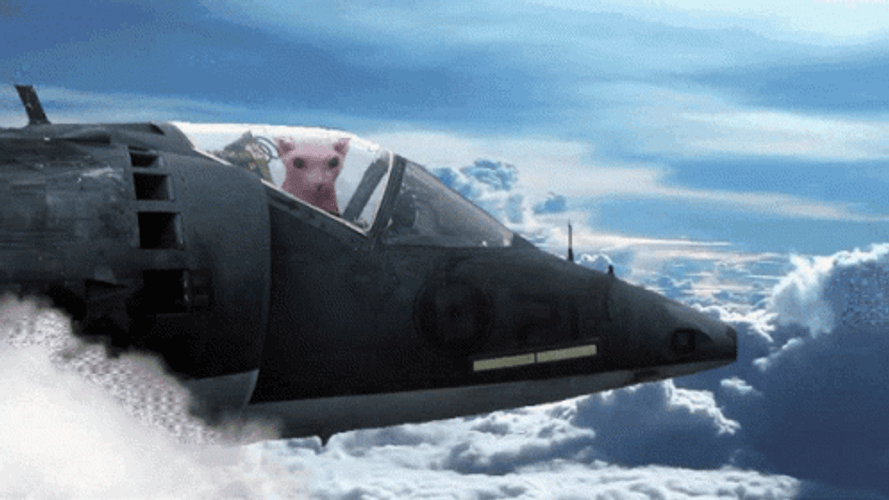 AV-8C Harrier Jet Flying Pig GIF