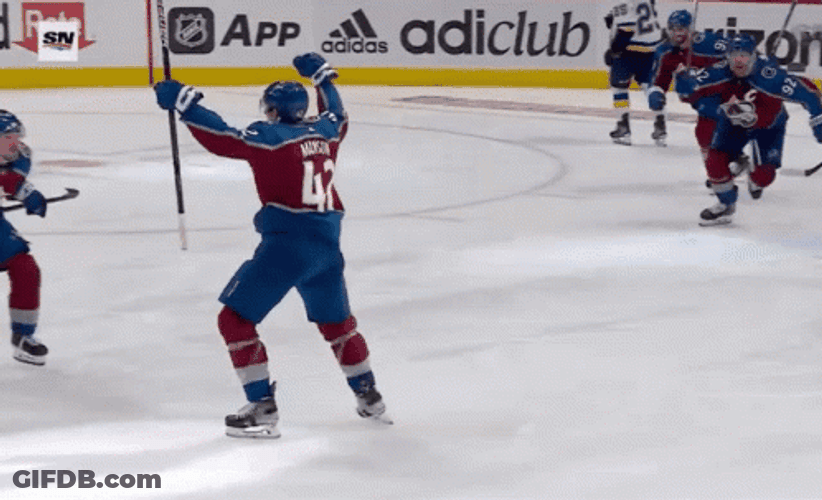 Avalanche Celebration GIF