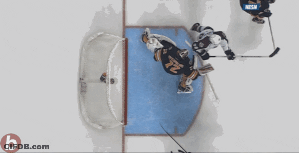 Avalanche Team Goal GIF