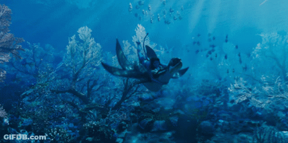 Avatar 2 Riding Sea Creature GIF