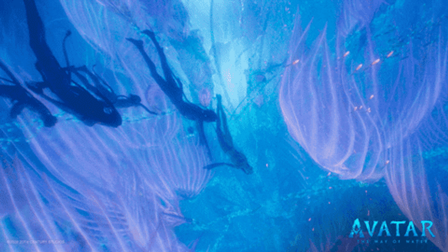 Avatar Girls Underwater GIF