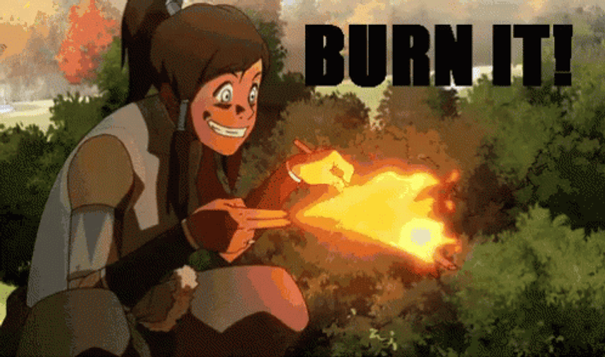 Avatar Kill It With Fire GIF