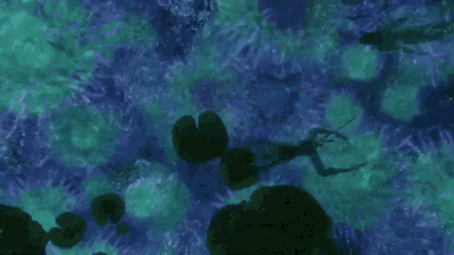 Avatar Pandora Swimming GIF