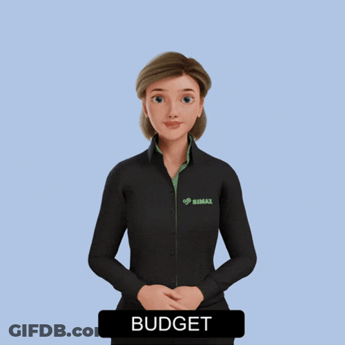 Avatar Teaching Budget Sign Language GIF