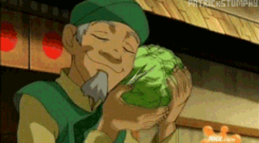 Avatar The Last Airbender Cabbage Seller Loves Cabbage GIF
