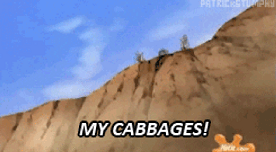 Avatar The Last Airbender My Cabbages Meme GIF