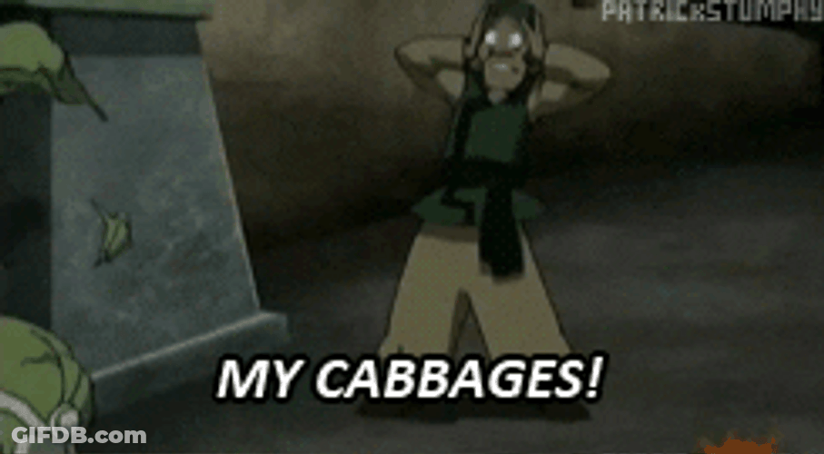 Avatar The Last Airbender My Cabbages Sad Upset GIF