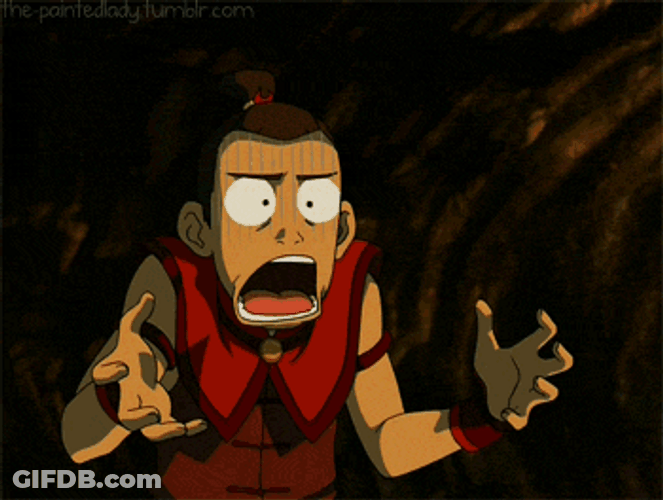 Avatar The Last Airbender Sokka What Shocked GIF