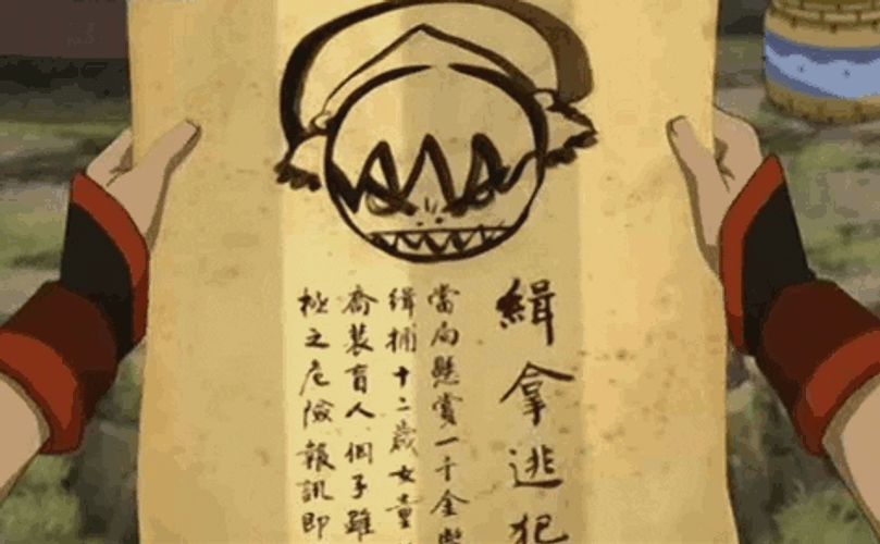 Avatar The Last Airbender Wanted Toph In Firenation GIF