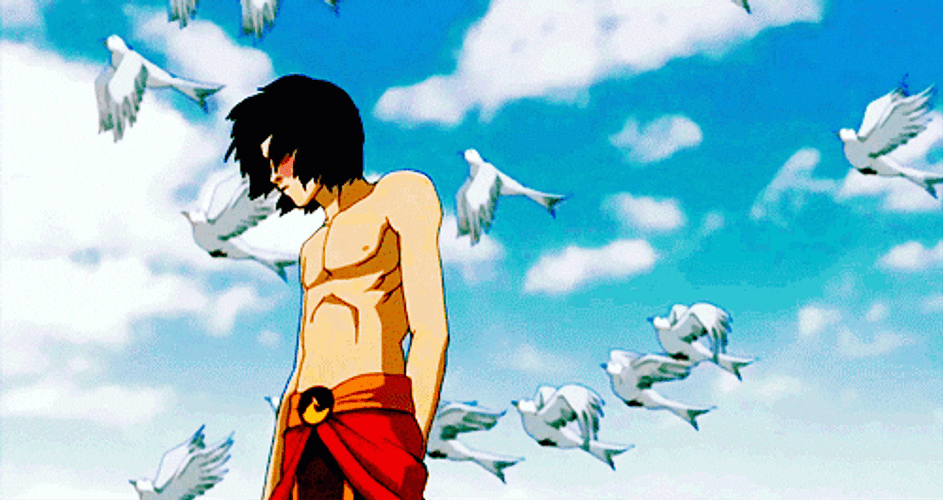 Avatar The Last Airbender Zuko Sad Flying Birds GIF