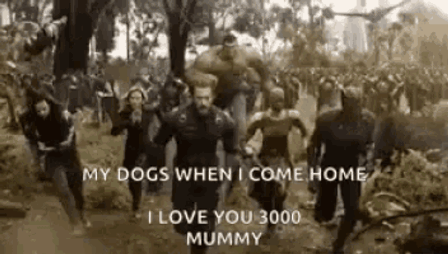 Avengers Infinity War GIF