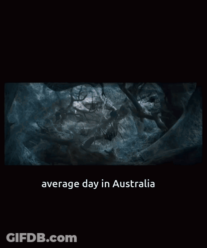 Average Day In Australia GIF