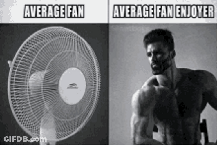 Average Fan Enjoyer Meme GIF