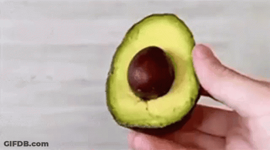 Avocado Fruit Seed Loop GIF