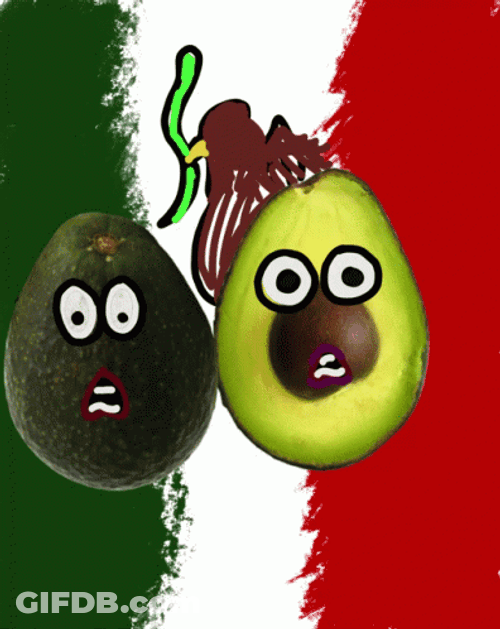 Avocado Fruits Talking From Mexico GIF