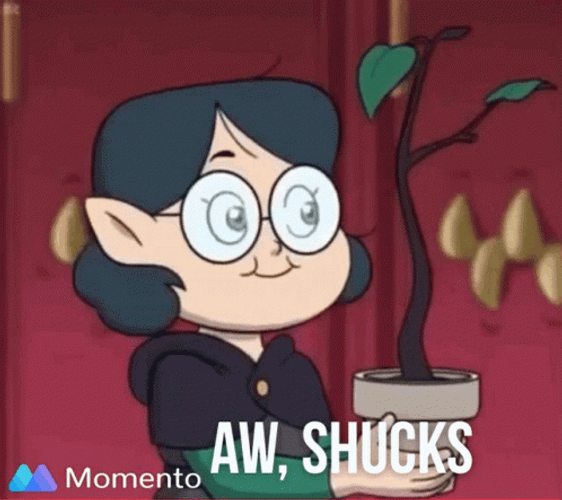 Aw Shucks Willow Park Owl House GIF