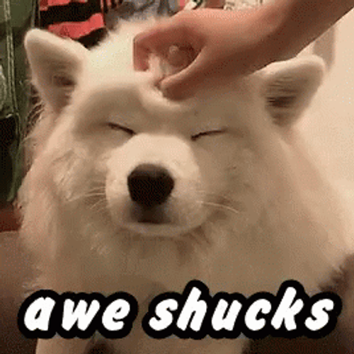 Awe Cute Doggo GIF