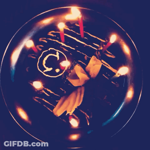 Awesome Birthday Party Chocolate Cake GIF
