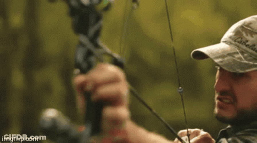 Awesome Bow And Arrow Hunting GIF