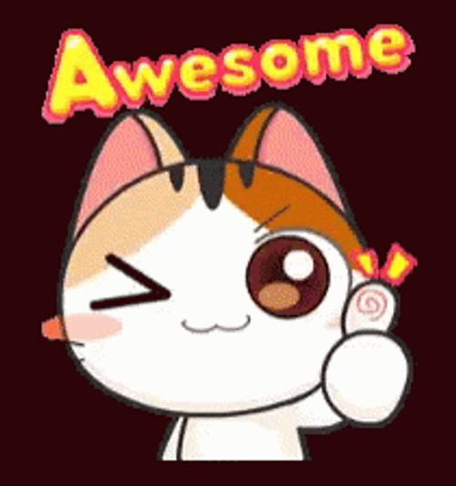 Awesome Cat Thumbs Up GIF