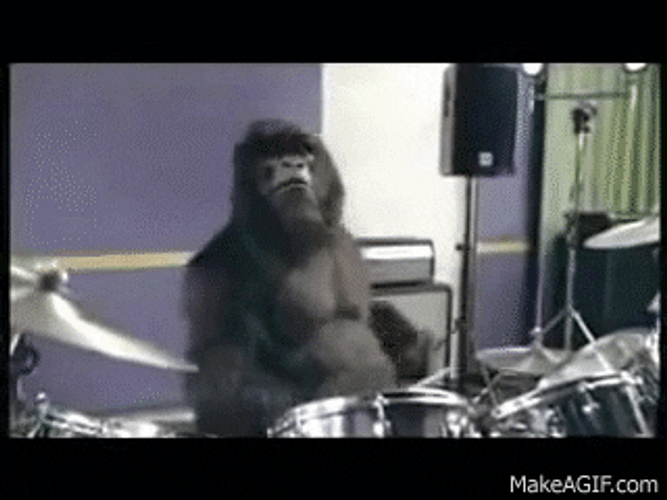 Awesome Gorilla Playing Drums GIF