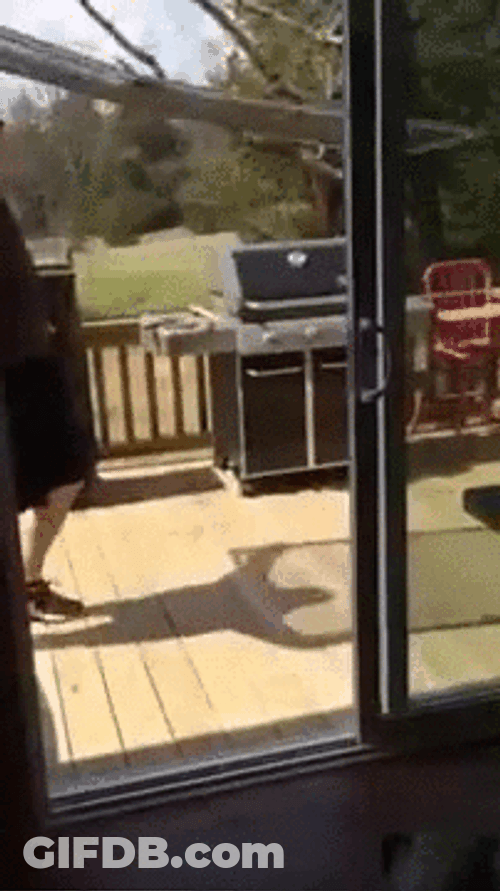 Awesome Guy Slamming Door GIF