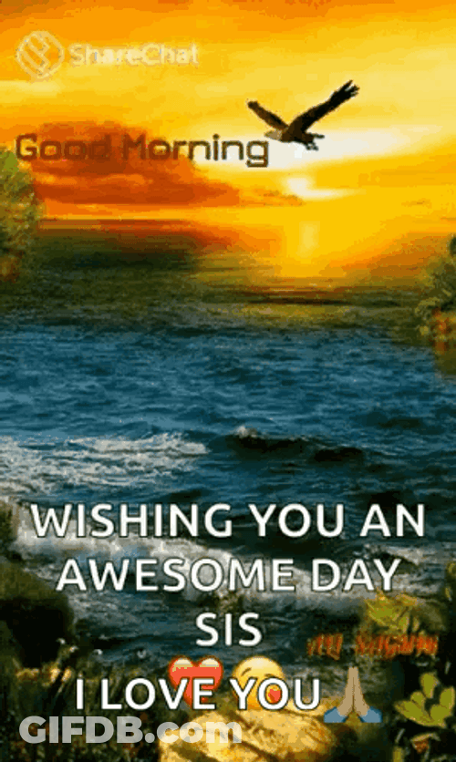 Awesome Happy Blessed Wednesday GIF