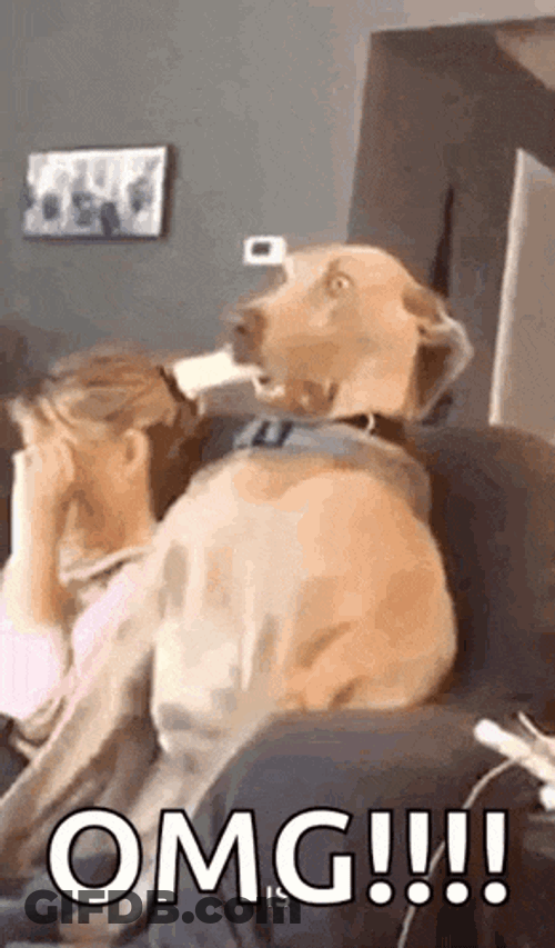 Awkward Introuble GIF