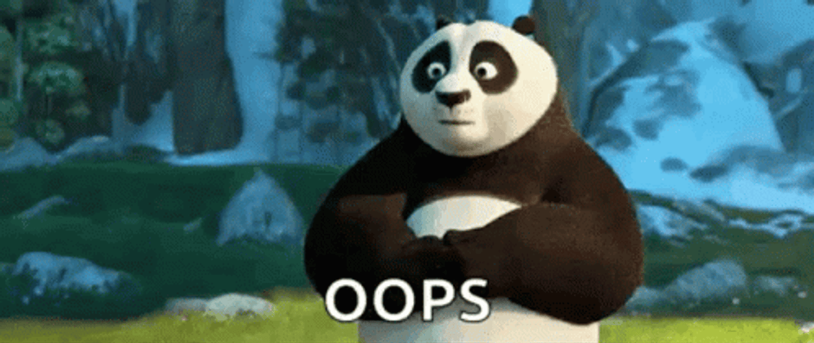 Awkward Oops Kung Fu Panda GIF