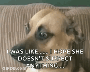 Awkward Stare GIF