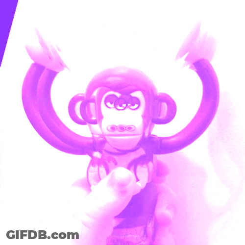 Awooga Toy Monkey GIF
