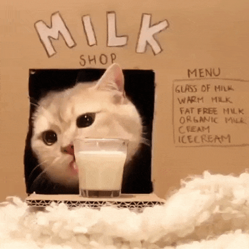 Aww GIF