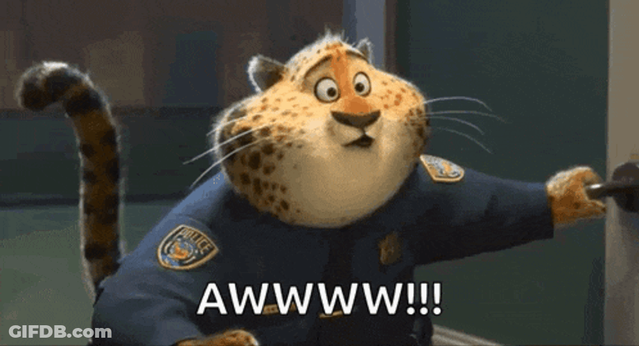Aww Cute GIF