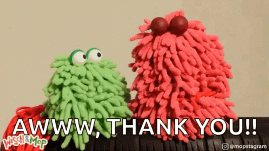 Aww Thank You Wisch Mop GIF