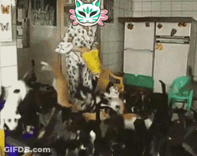 Axolittles Cat Lady GIF