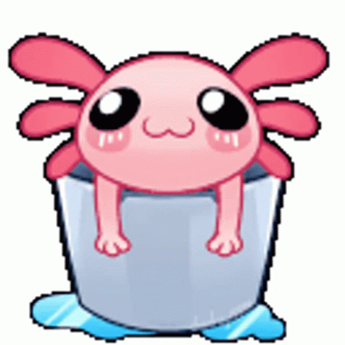Axolotl In A Bucket GIF