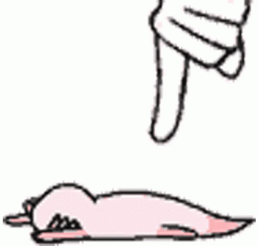Axolotl Meme Flapping After Touching GIF