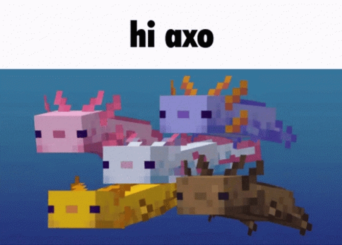 Axolotl Meme Hi Axo In Axolotl Minecraft GIF