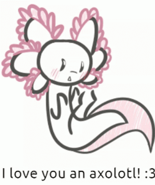 Axolotl Meme Pink Coquette Axolotl I Love You GIF