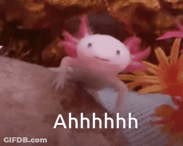 Axolotl Meme Screaming Ahhhhh GIF