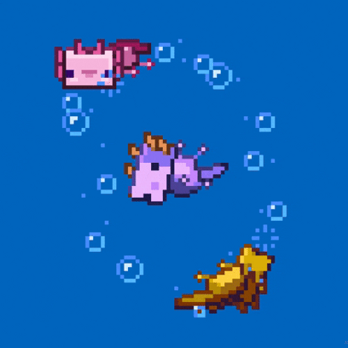Axolotl Meme Swimming Around GIF